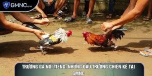 Trường gà nổi tiếng: Những đấu trường chiến kê hấp dẫn nhất